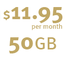 Gold 11.95 Hosting