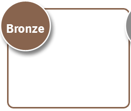 Bronze 4.95 Hosting